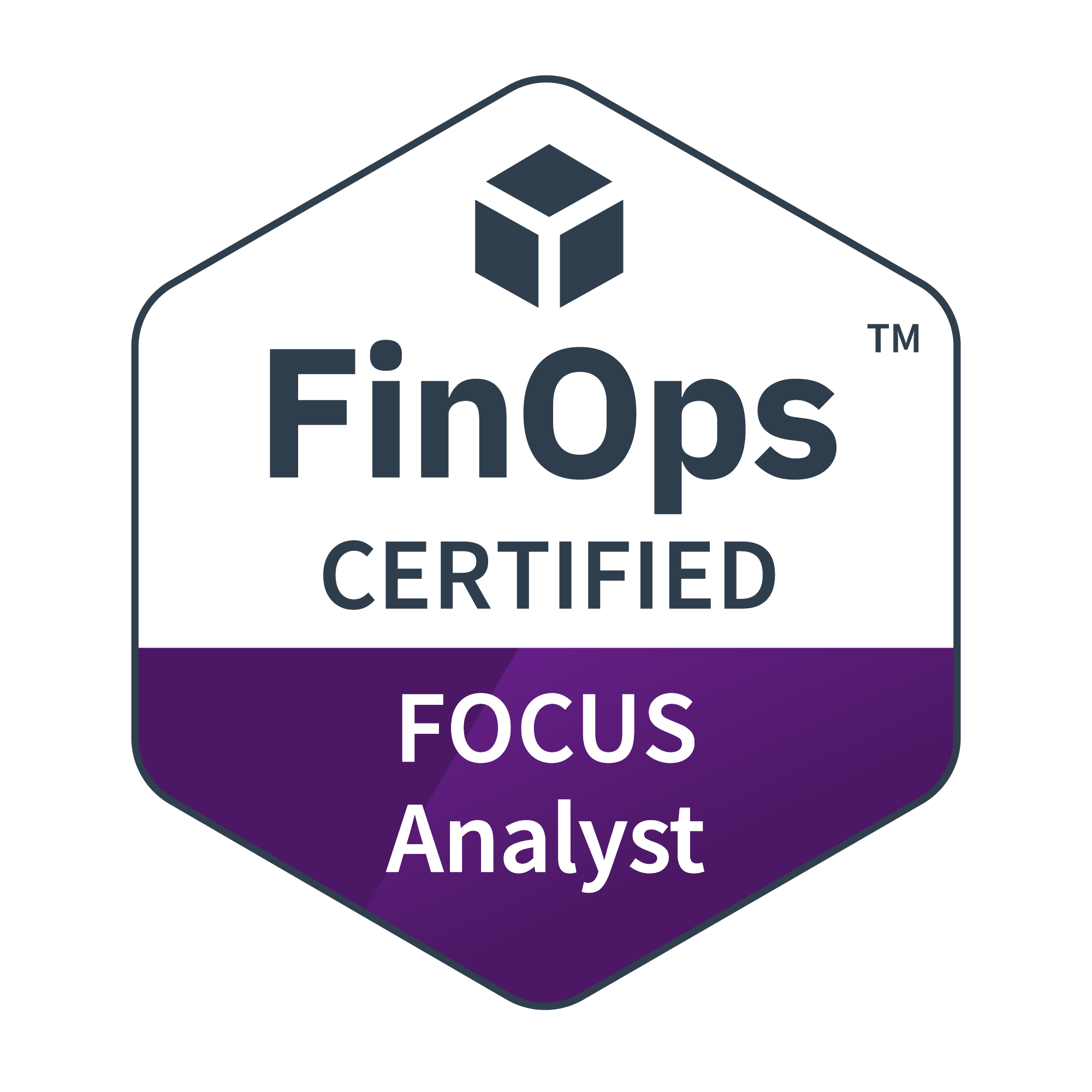 FinOps for AI Trained: Level 1