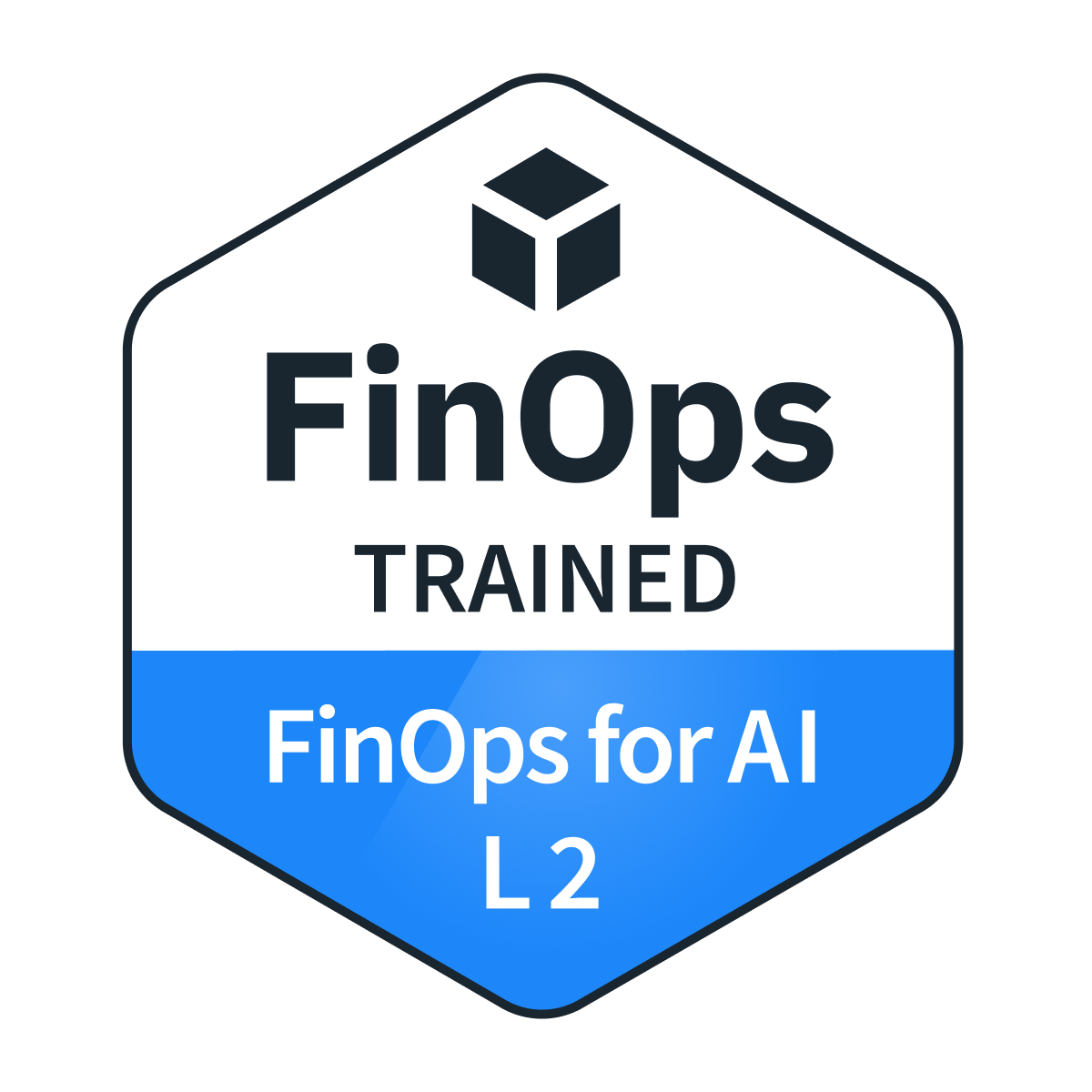 FinOps Certified Engineer