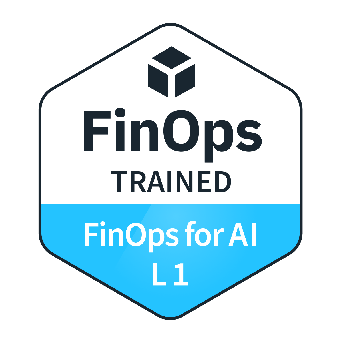 FinOps Certified Practitioner